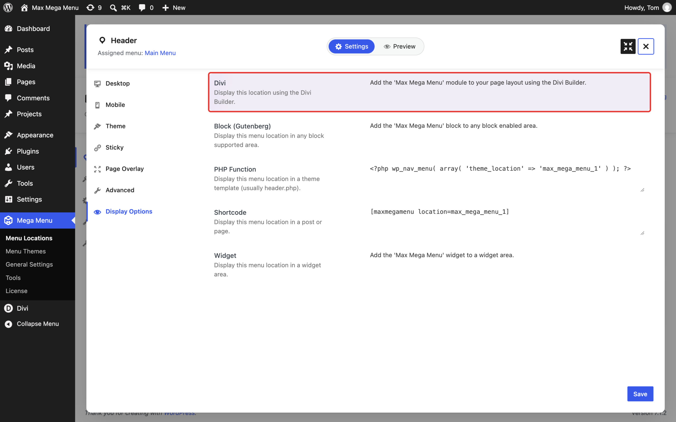 Divi display option in the menu location settings