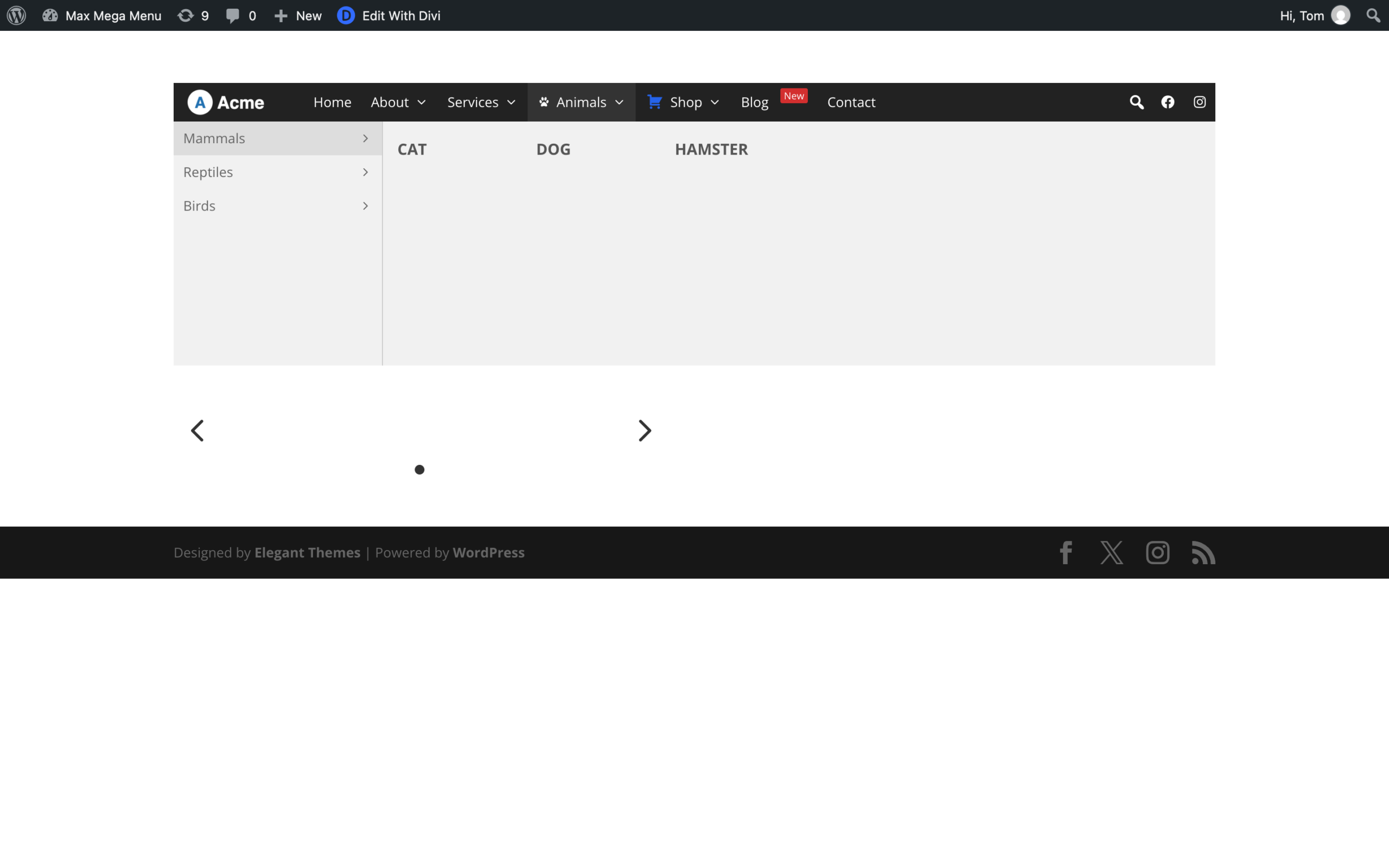 Max Mega Menu displayed in a Divi header