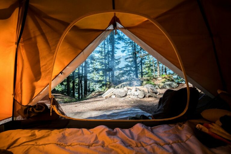 Orange tent pitched among green trees