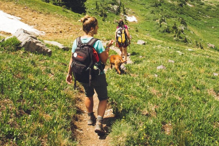 Two women hiking a mountain trail with a dog